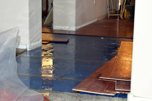 Professional Emergency Water Damage Restoration technician working in Greenwood, IN